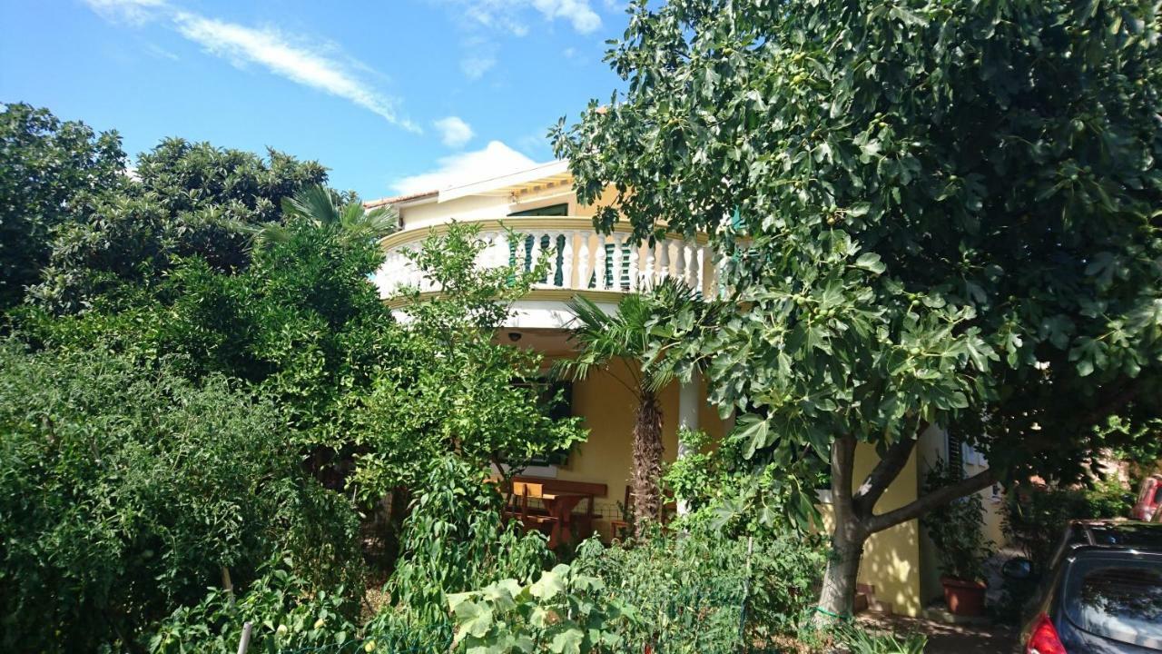 Apartmani Milka Пакоштане Экстерьер фото